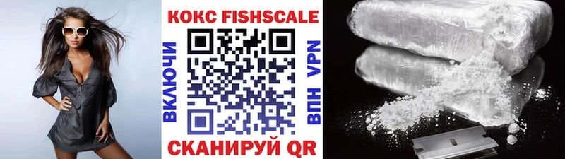 где купить наркоту  Новозыбков  площадка официальный сайт  COCAIN Fish Scale 