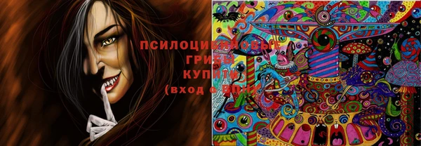 дурь Алзамай