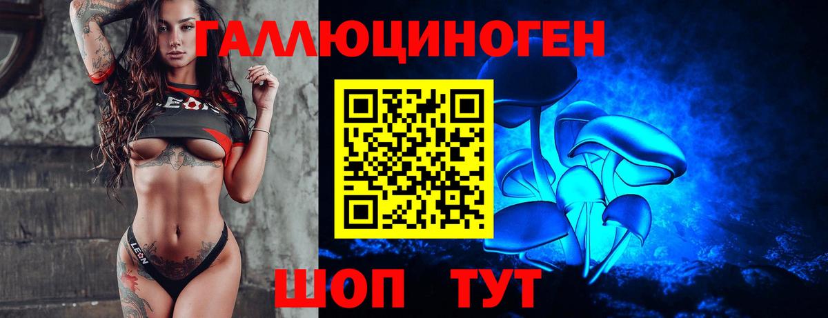 Галлюциногенные грибы MAGIC MUSHROOMS  Вход с VPN  Новозыбков 